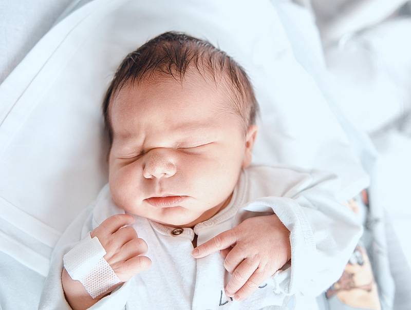 Jan Moravec se narodil v nymburské porodnici 24. ledna 2022 v 9:31 hodin s váhou 4220 g a mírou 52 cm. V Budiměřicích bude prvorozený chlapeček vyrůstat s maminkou Kateřinou a tatínkem Janem.