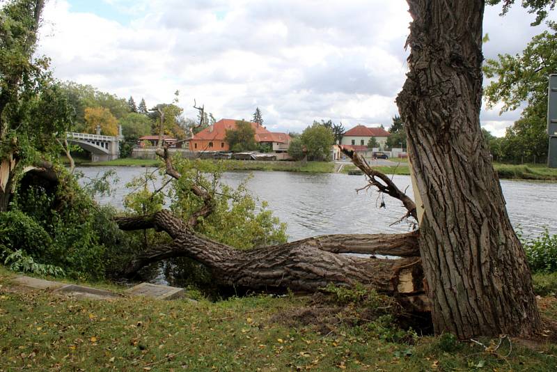 Dva stromy spadly na molo u parkoviště pod Eliškou v Nymburce.