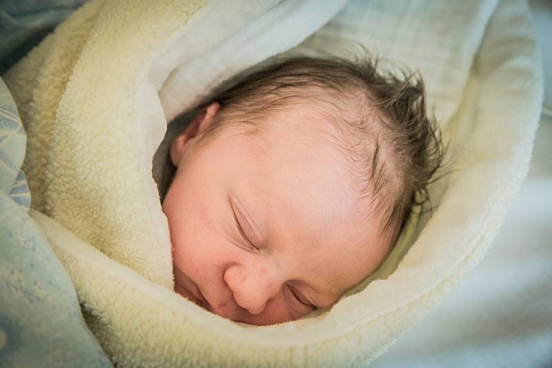 Berenika Čechová, Poděbrady. Narodila se 17. září 2019 v 5.21 hodin, vážila 2 950g a měřila 49 cm. Svou prvorozenou dceru si odvezli domů rodiče Alena a Jakub.