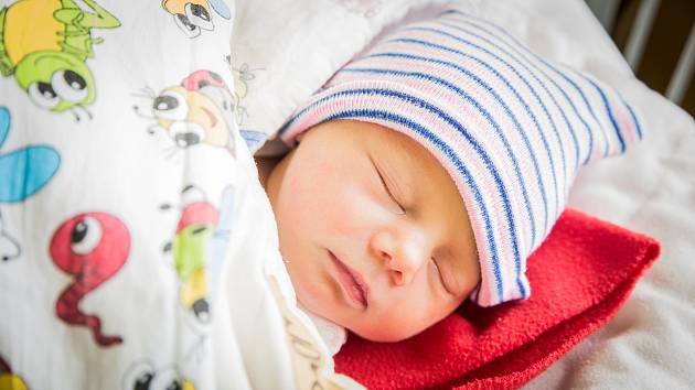 Nella Novotná, Nymburk. Narodila se 7. května 2019  v 15.44 hodin, vážila 2 860g  a měřila 47 cm. Na holčičku se těšili rodiče Karolína a Lukáš.