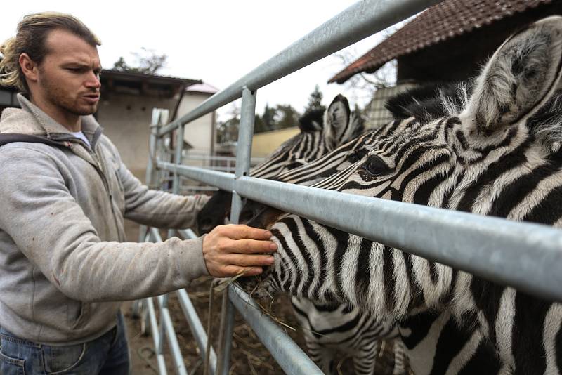 Zimoviště cirkusu Humberto ve Staré Lysé.