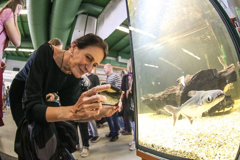 Výstava "Exotika a mazlíček 2019"  v Lysé nad Labem.