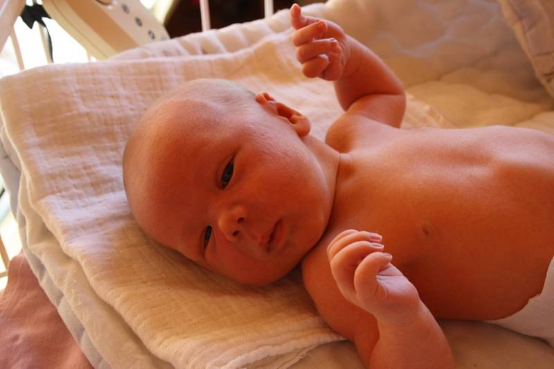 SEBASTIAN PŘEKVAPIL. Sebastian LANDYŠ se narodil 30. října 2015  v 13.09 hodin. Klouček s mírami 3 650 g a 48 cm je třetím potomkem Andrey a Petra z Nymburka. Mají už Dominika (14) a Nicol (7).