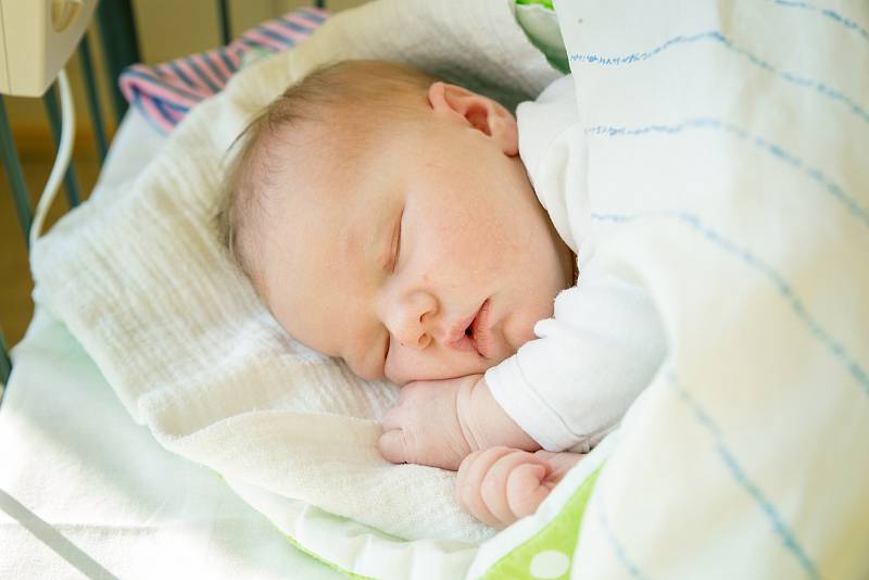 SÁRA VEČEŘOVÁ se narodila 27. listopadu 2018 v 08.57 hodin s délkou 49 cm a váhou 3 900g. Maminka Dominika z Poděbrad se na holčičku předem těšila a čeká na ni bratříček.