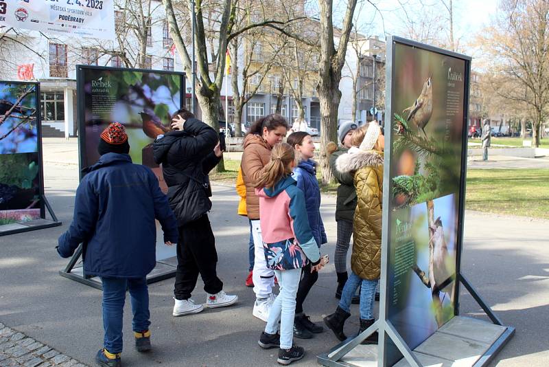 Výstava je k vidění na kolonádě v Poděbradech. Autorem snímků  je místní přírodovědec Zdeněk Souček.