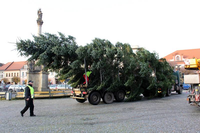 Nymburské náměstí zdobí Vánoční strom, který byl uříznut v Kovanicích. 