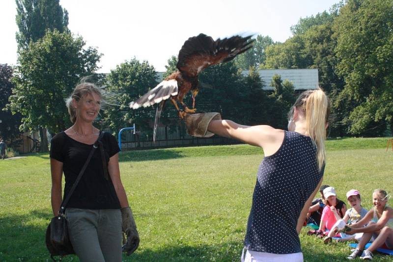 Na příměstském táboře v DDM Symfonie v Poděbradech s děti seznámily zblízka s dravými ptáky.