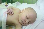 NA VIKTORKU ČEKALA NATÁLKA. Viktorie Nekolová se narodila jako druhé miminko do rodiny Pavlíny a Lukáše z Milovic 20. května 2014 v 5.36 hodin. Vážila 3 110 g a měřila 50 cm. Doma se na svou novou průvodkyni dětstvím těšila dvouletá Natálka.