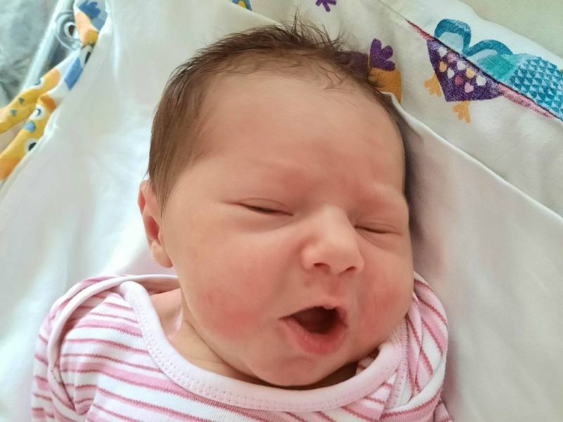 Evelína Hamplová se narodila 24. listopadu 2021 v 7:34 hodin  s váhou 3340 g a mírou 48 cm. Z prvorozené  se radují rodiče Eva a Jan z Jizbic.