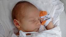 Štěpán Fríbl se narodil v nymburské porodnici 8. července 2021 v 10:49 hodin s váhou 4550 g a mírou 53 cm. Doma v Poděbradech ho přivítali maminka Klára, tatínek Filip a sestřička Viktorie (2 roky)