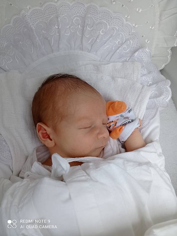 Štěpán Fríbl se narodil v nymburské porodnici 8. července 2021 v 10:49 hodin s váhou 4550 g a mírou 53 cm. Doma v Poděbradech ho přivítali maminka Klára, tatínek Filip a sestřička Viktorie (2 roky)