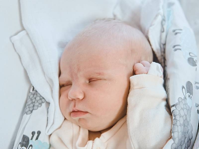 Tatiana Čarná se narodila v nymburské porodnici 24. listopadu 2022 v 7:34 hodin s váhou 3320 g a mírou 47 cm. V Milovicích prvorozenou holčičku očekávala maminka Veronika a tatínek Matuš.