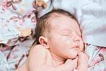 Eleanora Hájková se narodila v nymburské porodnici 27. června 2022 v 4:30 hodin s váhou 3140 g a mírou 49 cm. V Praze-Holešovicích prvorozenou holčičku očekávala maminka Anna a tatínek Filip.