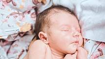 Eleanora Hájková se narodila v nymburské porodnici 27. června 2022 v 4:30 hodin s váhou 3140 g a mírou 49 cm. V Praze-Holešovicích prvorozenou holčičku očekávala maminka Anna a tatínek Filip.