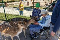 Sanitka přání: dojemné setkání paní Jany se zvířátky v chlebské zoologické zahradě.