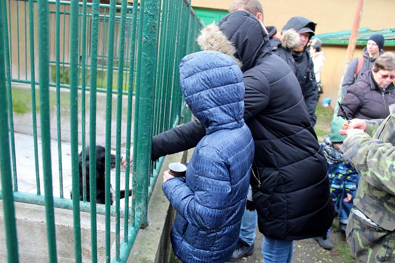 Opuštění psi v lyském útulku dostali nadílku na Štědrý den dopoledne.