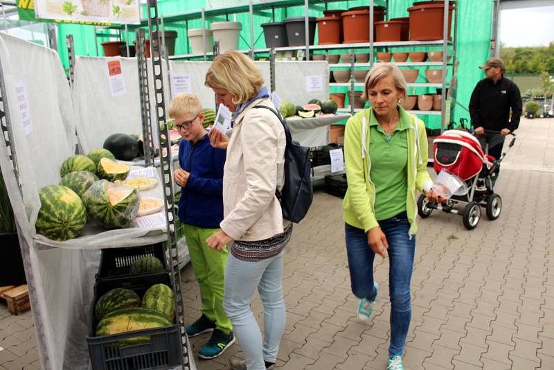 Melouny v zahradnictví u Libice mohli příchozí také ochutnat.