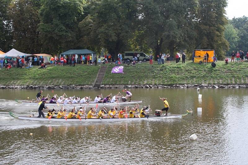 Dragonfest na nymburském Labi