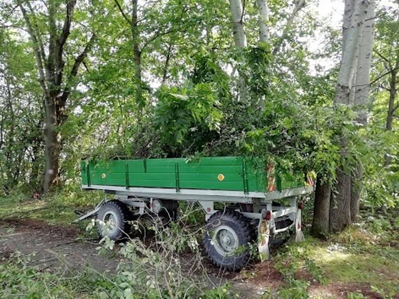 Dobrovolníci zvelebují Jiráskovu cestu v Městci Králové.