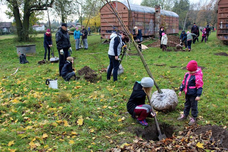 Desítky lidí dorazily v neděli dopoledne do areálu skautů na nymburském Vesláku a vysadily zhruba tři desítky nových stromů.