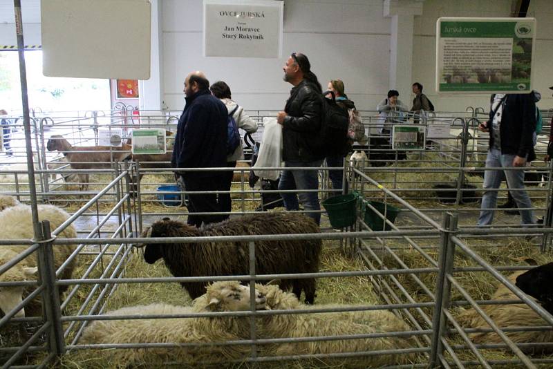 Výstaviště v Lysé patřilo zvířatům a kvalitním potravinám.