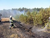 V úterý kolem čtvrté odpoledne vzplanul požár v nízkém borovém lese u Hořátve.