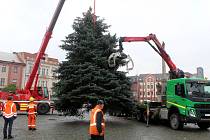 Loňský Vánoční strom v Nymburce.