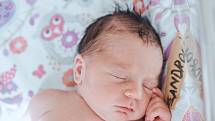 Sára Šandrová se narodila v nymburské porodnici 9. května 2022 v 23:51 hodin s váhou 3120 g a mírou 45 cm. V Poříčanech bude holčička bydlet s maminkou Ivou, tatínkem Miroslavem a sestřičkou Emmou (2,5 roku).