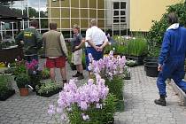 Na Výstavišti v Lysé nad Labem začíná v pátek výstava Květy. Asi největším lákadlem pro návštěvníky budou tisíce lilií.