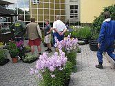 Na Výstavišti v Lysé nad Labem začíná v pátek výstava Květy. Asi největším lákadlem pro návštěvníky budou tisíce lilií.