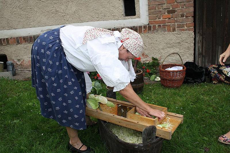 V Přerově nad Labem zažili dožínkovou slavnost V zámku a podzámčí.