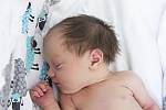 Stela Borufková se narodila v nymburské porodnici 20. září 2021 v 8:36 s váhou 3300 g a mírou 49 cm. Prvorozená holčička bude bydlet v Nymburce s maminkou Monikou a tatínkem Ondřejem.