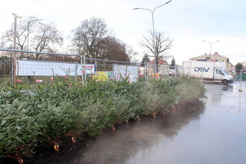 Oproti loňsku si kupující u některých prodejců nepřiplatí za nákup vánočního stromku. Ten v těchto dnech začal například před obchodním domem Albert v Nymburce.