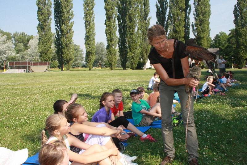 Na příměstském táboře v DDM Symfonie v Poděbradech s děti seznámily zblízka s dravými ptáky.