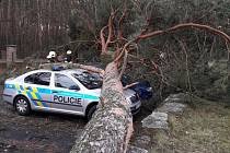 Strom v policejním školícím středisku v Sadské spadl na dva vozy, jeden z nich měl policejní polep.