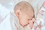 Victoria Andréová se narodila v nymburské porodnici 9. srpna 2022 v 11:10 hodin s váhou 3040 g a mírou 48 cm. Holčička se narodila do rodiny maminky Anety, tatínka Attily a sestřičky Anety (1 rok) z Milovic.