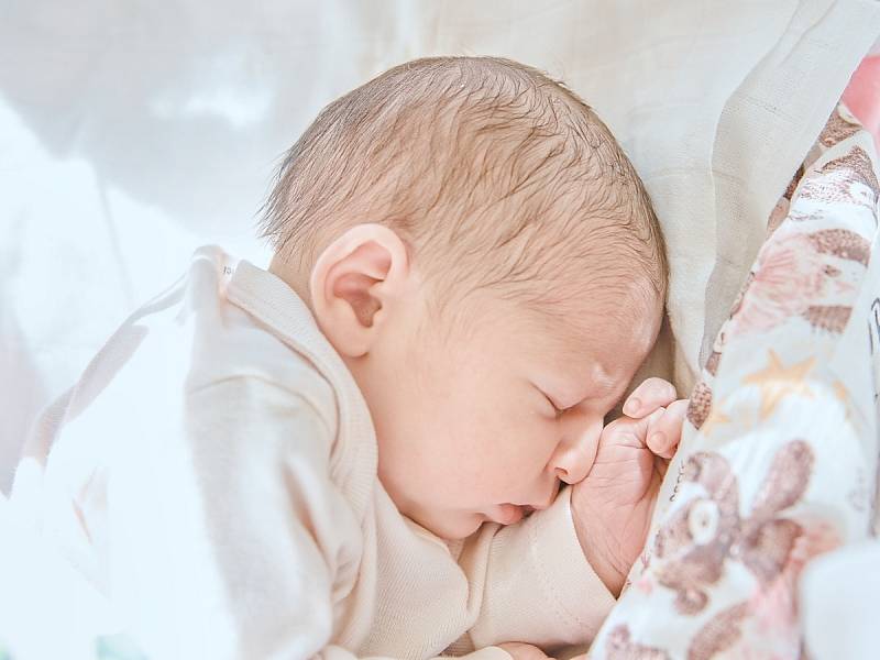 Victoria Andréová se narodila v nymburské porodnici 9. srpna 2022 v 11:10 hodin s váhou 3040 g a mírou 48 cm. Holčička se narodila do rodiny maminky Anety, tatínka Attily a sestřičky Anety (1 rok) z Milovic.