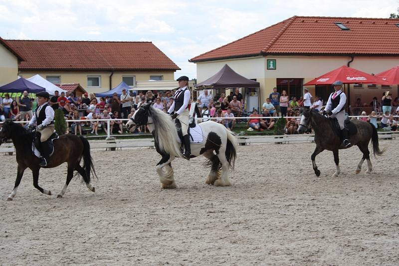 Koně pro Kapku naděje