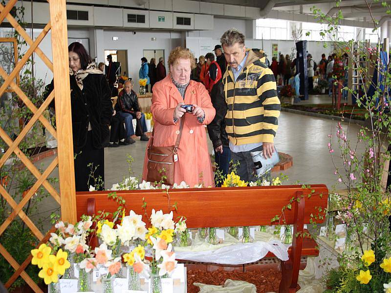 Výstavy Elegance a Narcis na lyském výstavišti