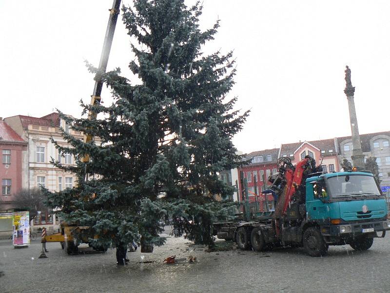 Vánoční strom už je v Nymburce