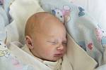Amálie Svobodová se narodila v nymburské porodnici 15. října 2021 ve 12:00 hodin s váhou 2860 g a mírou 46 cm. V Chvalovicích bude prvorozená holčička vyrůstat s maminkou Marketou a tatínkem Michalem.