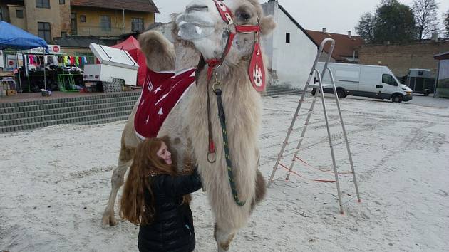 Výstava Exotika probíhá na lyském výstavišti do neděle.