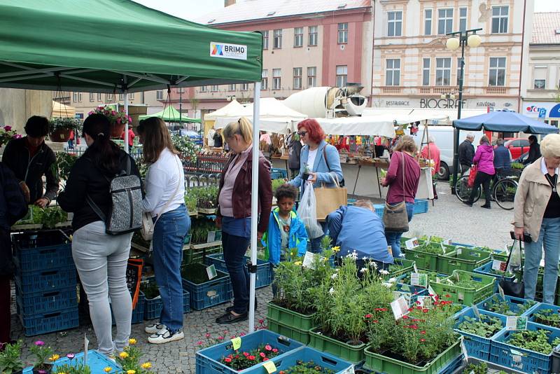 Farmářské trhy na náměstí Přemyslovců v Nymburce.