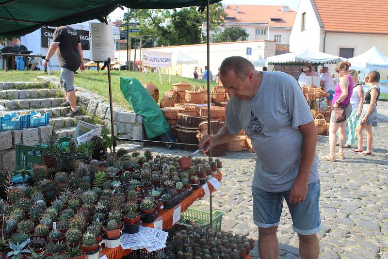 Posvícenský program měl propracovanou dramaturgii na všech scénách.