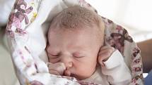 Natálie Vostárková z Křince se narodila v nymburské porodnici 4. října 2021 v 9:27 hodin s váhou 3190 g a mírou 47 cm. Prvorozenou holčičku očekávali maminka Michaela a tatínek Jiří.