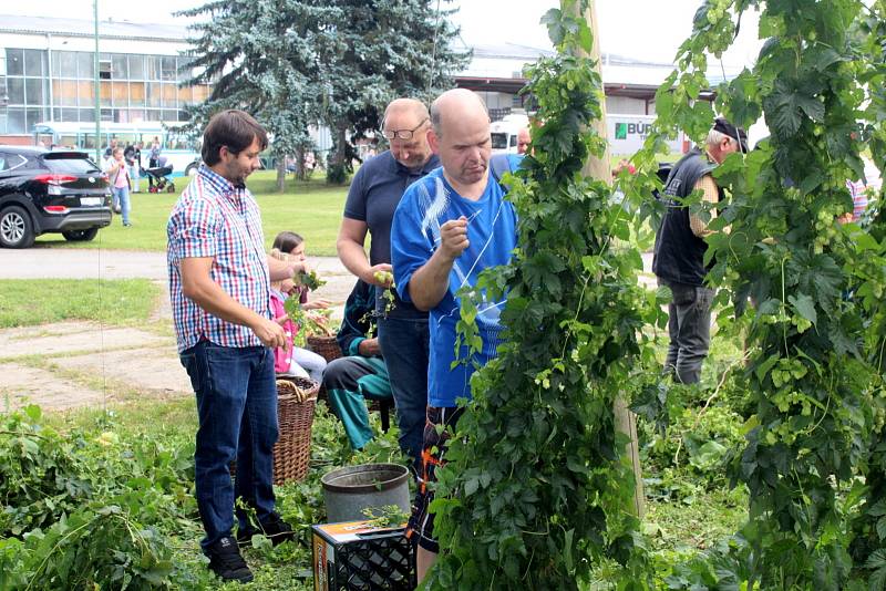 Dočesná se v sobotu odpoledne uskutečnila v nymburském pivovaru.