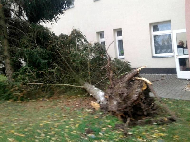 Zásahy dobrovolných hasičů mimo jiné u mateřské školy Větrník nebo spadlého stříbrného smrku před restaurací Dřevák.