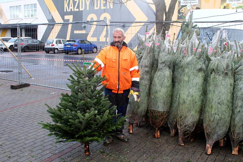 Oproti loňsku si kupující u některých prodejců nepřiplatí za nákup vánočního stromku. Ten v těchto dnech začal například před obchodním domem Albert v Nymburce.