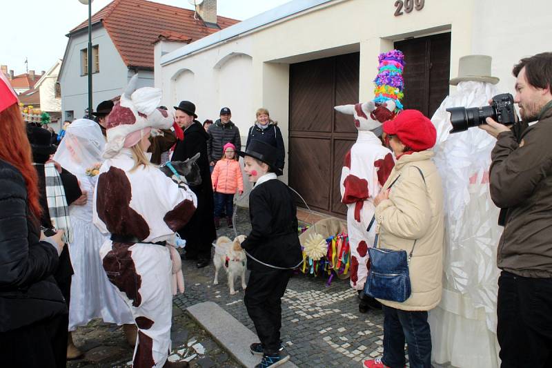 Nymburský Masopust se povedl.