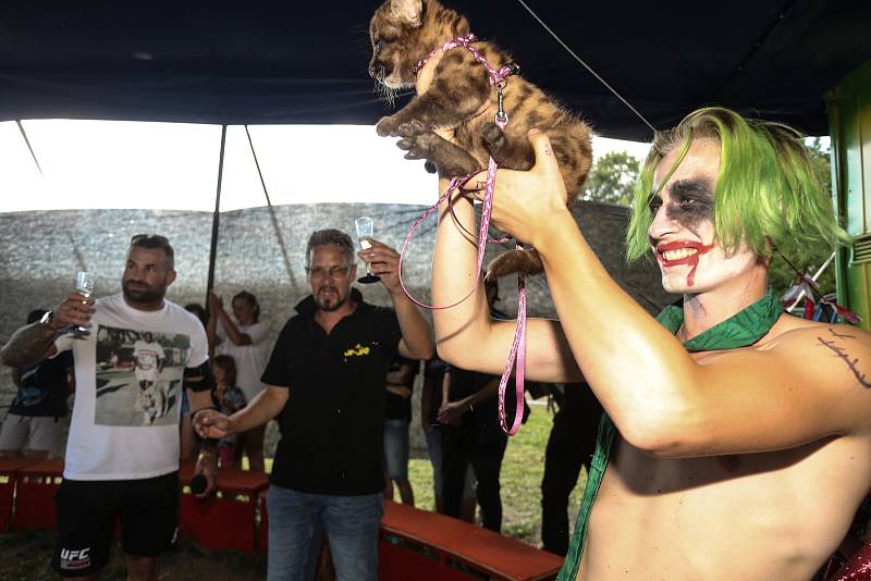 Křest mláděte pumy americké v základně cirkusu JO-JOO ve Zbožíčku na Nymbursku.